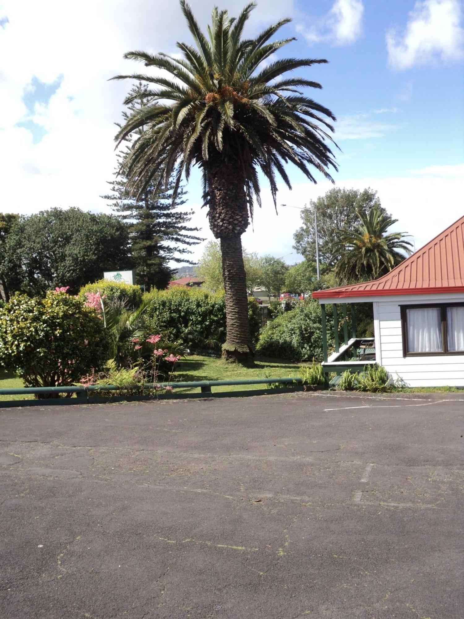 New Haven Motel Auckland Zewnętrze zdjęcie