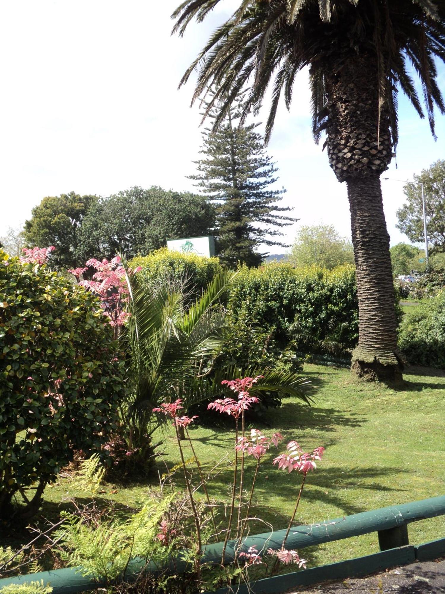 New Haven Motel Auckland Zewnętrze zdjęcie