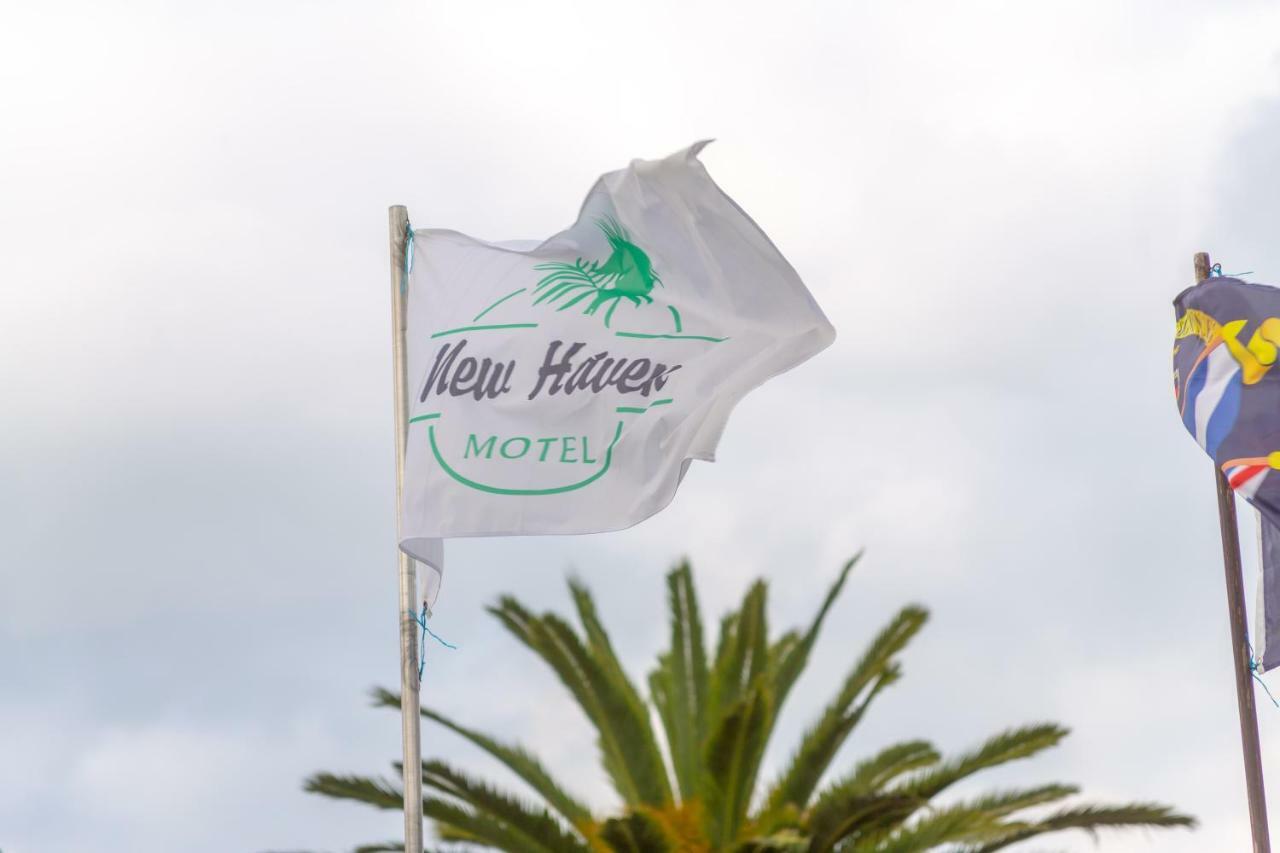 New Haven Motel Auckland Zewnętrze zdjęcie